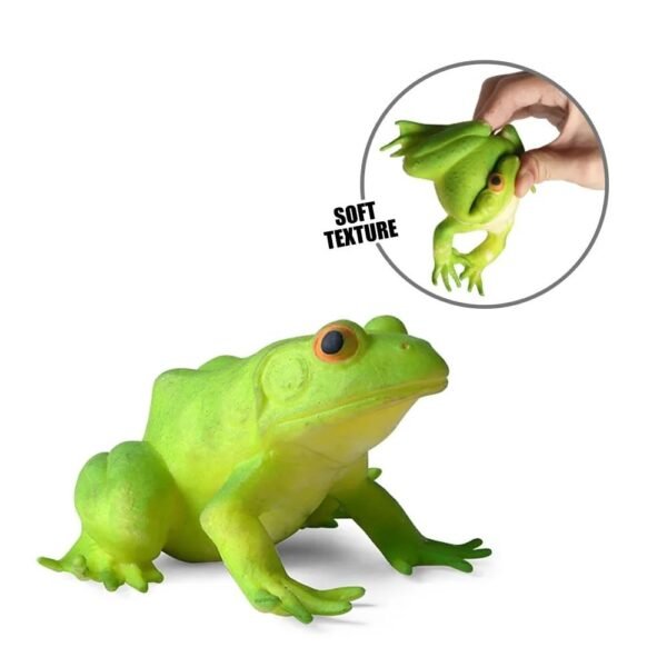 Amitasha Squishy Aquatic Frog Animal Realistic Sea Animal Soft Action Figures Stress Relief Rubber Squeeze Cute Decompression Toy for Boys Girls - Prank Gift - Image 4