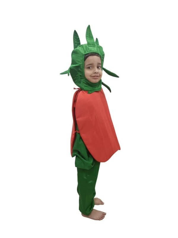 BookMyCostume Apple Fruit Kids Fancy Dress Costume - Image 6