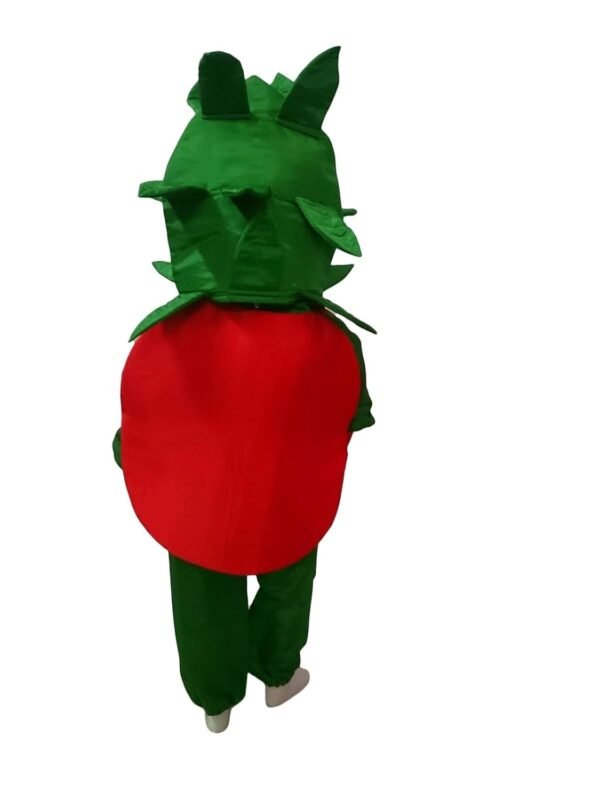 BookMyCostume Tomato Vegetable Kids Fancy Dress Costume 3-4 years - Image 2