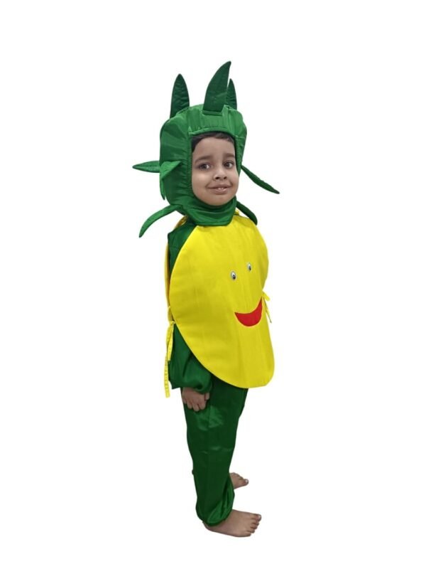 BookMyCostume Lemon Nimbu Fruit Vegetable Kids Fancy Dress Costume 3-4 years - Image 6