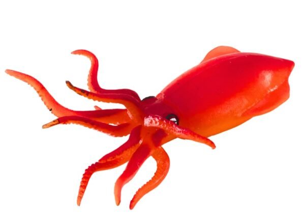Amitasha Aquatic Animal Toy for Kids Realistic Squid Fish Squishy Figurines Rubber Sea Animal Soft Squeeze Toy for Boys Girls Lookalike Ocean Creatures Educational Gift