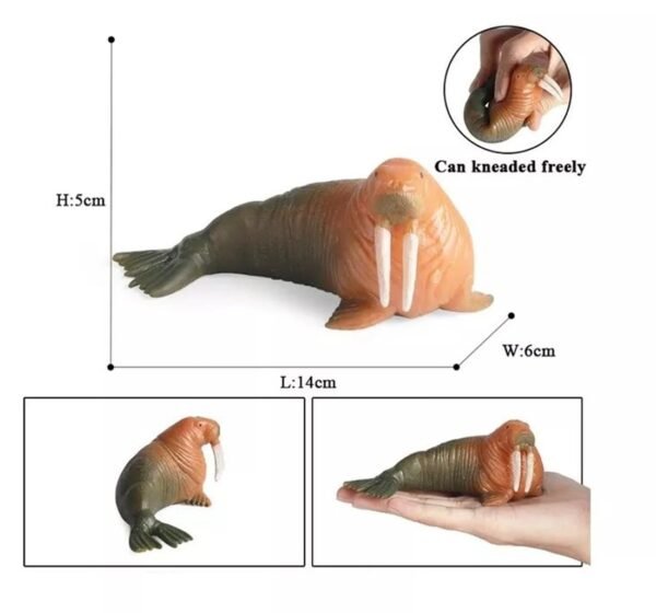 Amitasha Aquatic Animal Toy for Kids Realistic Walrus Fish Squishy Figurines Rubber Sea Animal Soft Squeeze Toy for Boys Girls Lookalike Ocean Creatures Educational Gift - Image 3