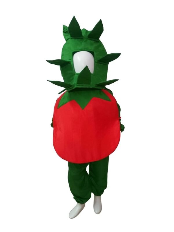 BookMyCostume Tomato Vegetable Kids Fancy Dress Costume 3-4 years - Image 3