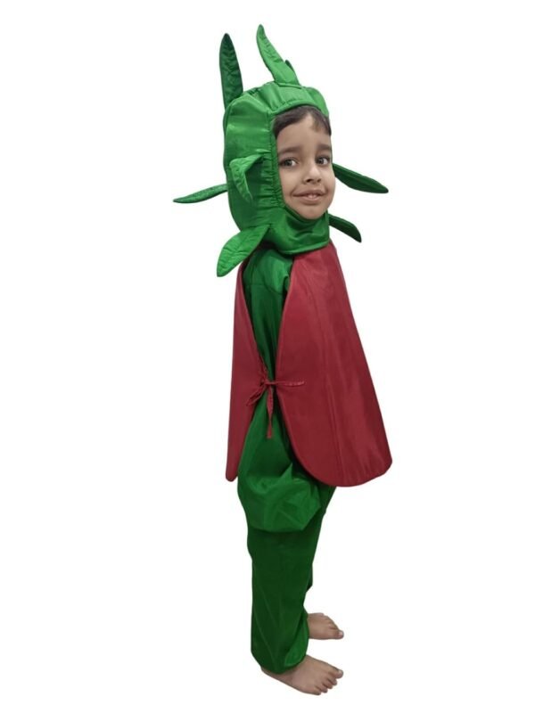 BookMyCostume Pomegranate Anar Fruit Kids Fancy Dress Costume - Image 6