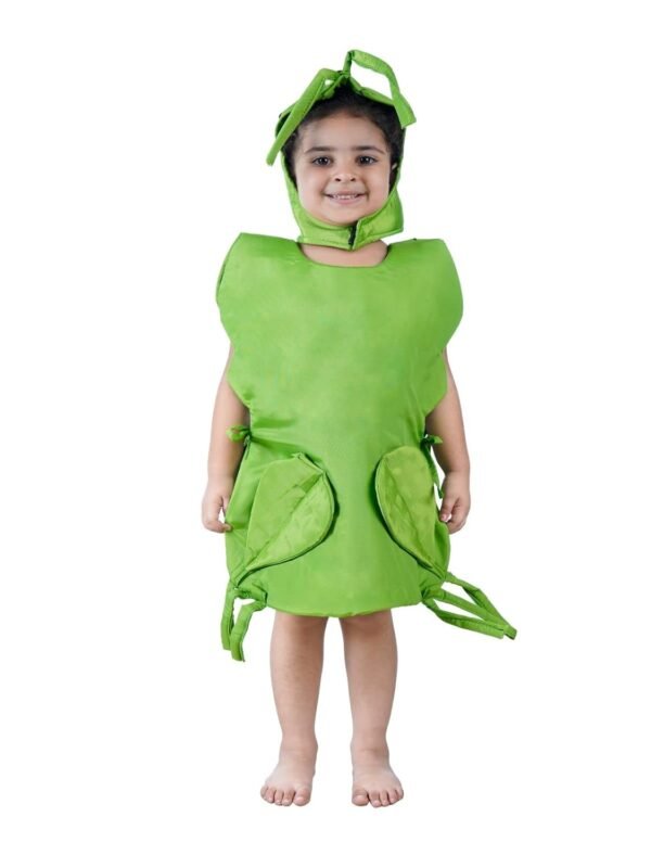 BookMyCostume Grasshopper Locust Insect Kids Fancy Dress Costume - Image 6