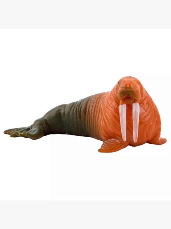 Amitasha Aquatic Animal Toy for Kids Realistic Walrus Fish Squishy Figurines Rubber Sea Animal Soft Squeeze Toy for Boys Girls Lookalike Ocean Creatures Educational Gift
