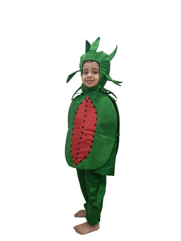 BookMyCostume Watermelon Fruit Kids Fancy Dress Costume 3-4 years - Image 4