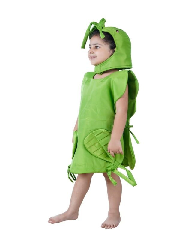 BookMyCostume Grasshopper Locust Insect Kids Fancy Dress Costume - Image 4