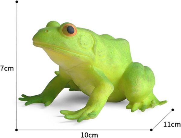 Amitasha Squishy Aquatic Frog Animal Realistic Sea Animal Soft Action Figures Stress Relief Rubber Squeeze Cute Decompression Toy for Boys Girls - Prank Gift - Image 2