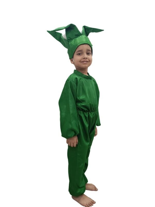 BookMyCostume Cauliflower Phool Gobhi Vegetable Kids Fancy Dress Costume - Image 6