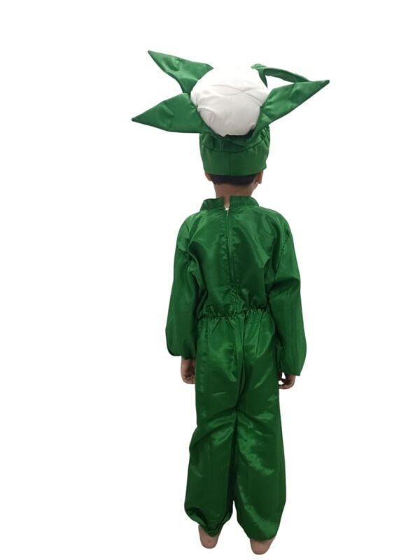 BookMyCostume Cauliflower Phool Gobhi Vegetable Kids Fancy Dress Costume - Image 3