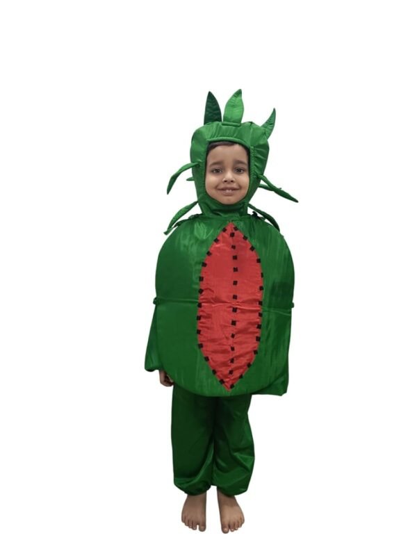 BookMyCostume Watermelon Fruit Kids Fancy Dress Costume 3-4 years