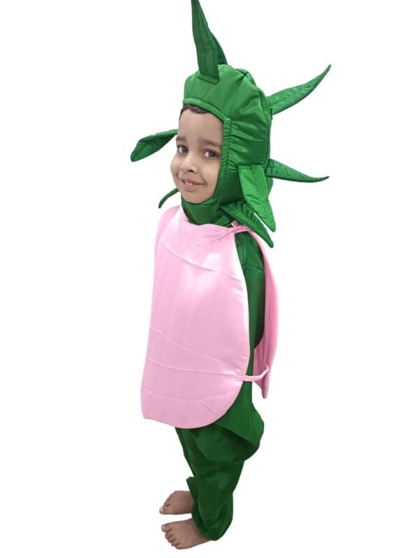 BookMyCostume Onion Pyaz Vegetable Kids Fancy Dress Costume - Image 4