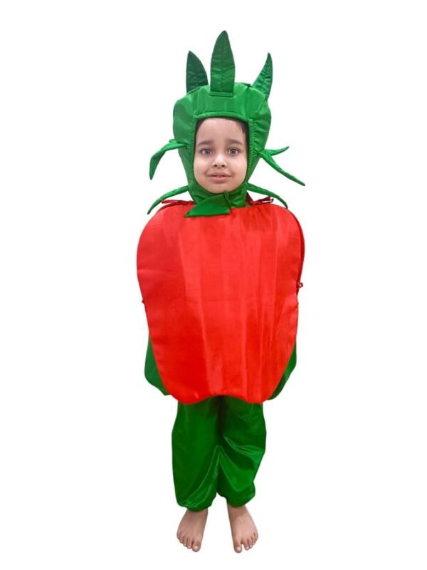 BookMyCostume Apple Fruit Kids Fancy Dress Costume
