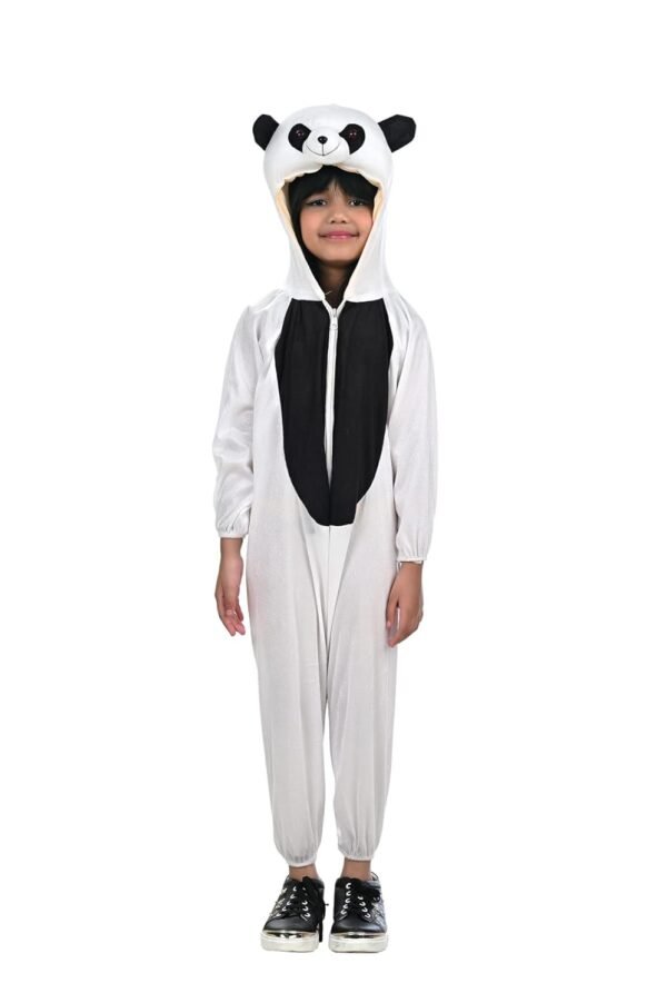 BookMyCostume Panda Dragon Warrior Cartoon Movie Kids Fancy Dress Costume