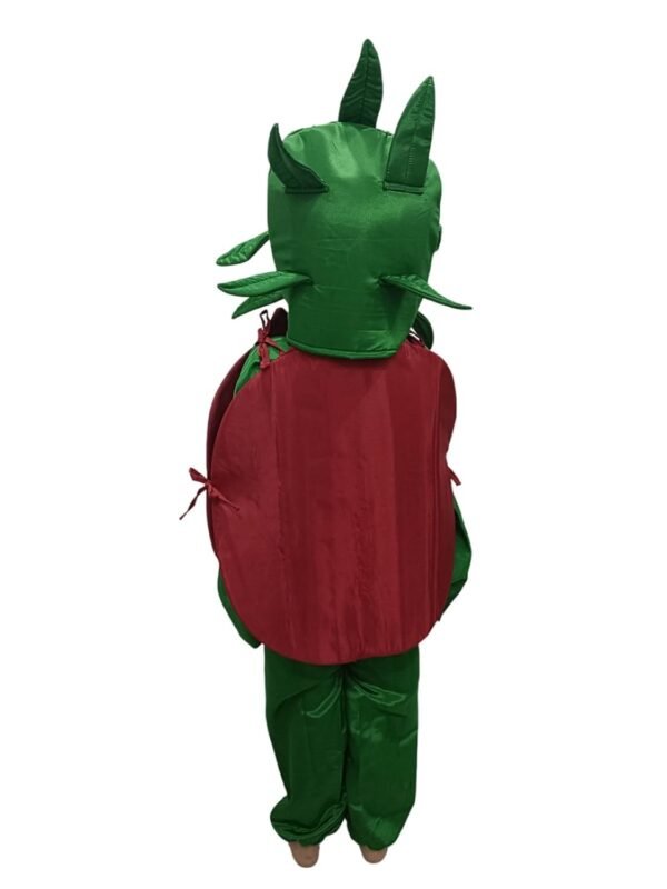 BookMyCostume Pomegranate Anar Fruit Kids Fancy Dress Costume - Image 3