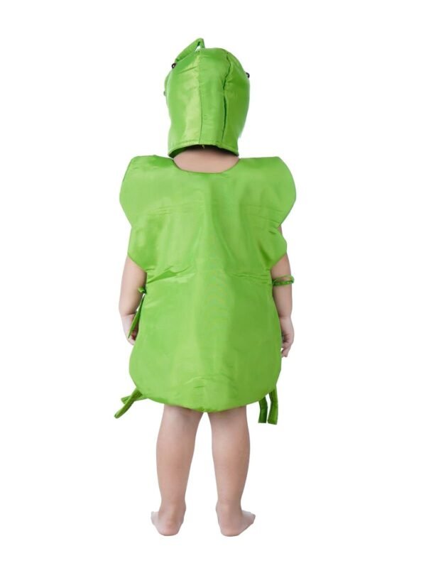 BookMyCostume Grasshopper Locust Insect Kids Fancy Dress Costume - Image 3