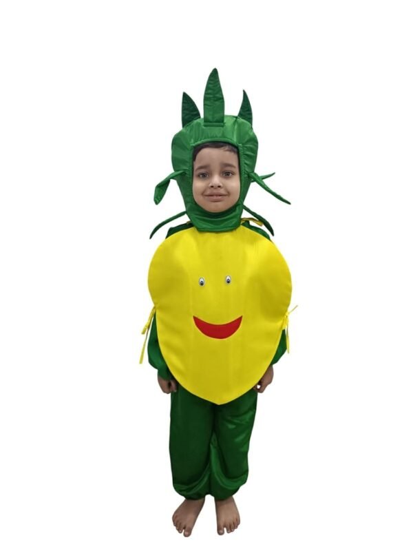 BookMyCostume Lemon Nimbu Fruit Vegetable Kids Fancy Dress Costume 3-4 years