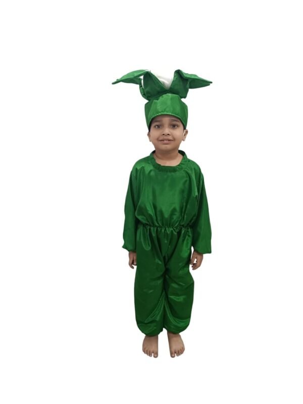 BookMyCostume Cauliflower Phool Gobhi Vegetable Kids Fancy Dress Costume - Image 5