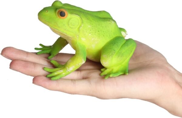 Amitasha Squishy Aquatic Frog Animal Realistic Sea Animal Soft Action Figures Stress Relief Rubber Squeeze Cute Decompression Toy for Boys Girls - Prank Gift - Image 5