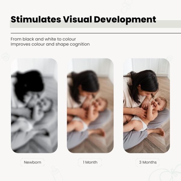 High Contrast Flash Cards for Infant New Born Children | Black & White | 24 Objects | Visual Stimulation and Sensory Development for Infants - Image 3