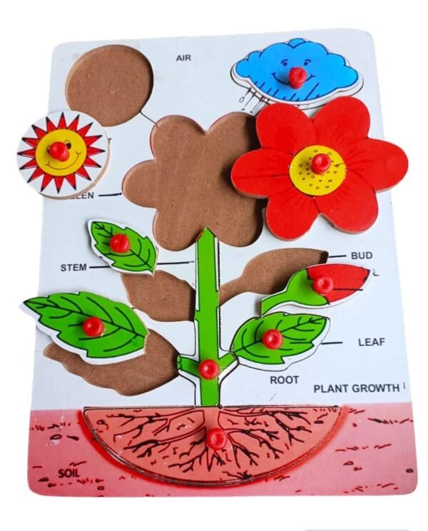 DIY Plant Puzzle, Educational Toys for Kids, Toddlers, Preschoolers, Adults - Image 2