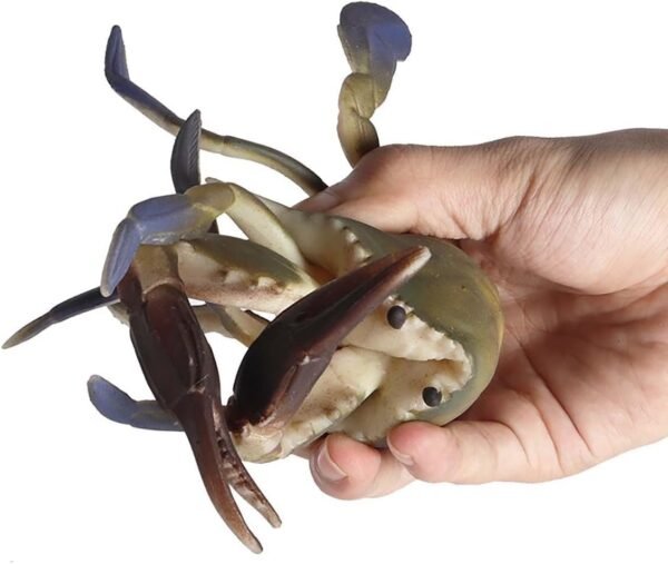 Amitasha Realistic Crab Aquatic Animal Toy for Kids Fish Squishy Figurines Rubber Sea Animal Soft Squeeze Toy for Boys Girls Lookalike Ocean Creatures Educational Gift - Image 6