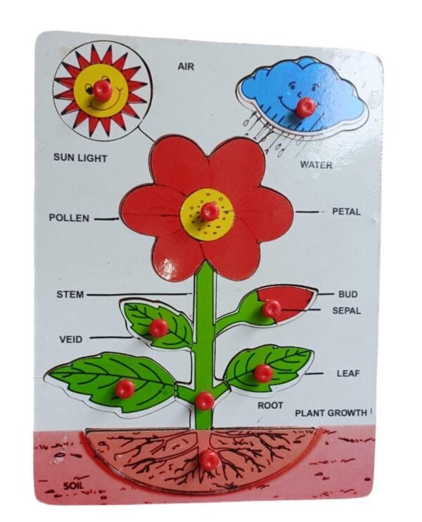 DIY Plant Puzzle, Educational Toys for Kids, Toddlers, Preschoolers, Adults - Image 3