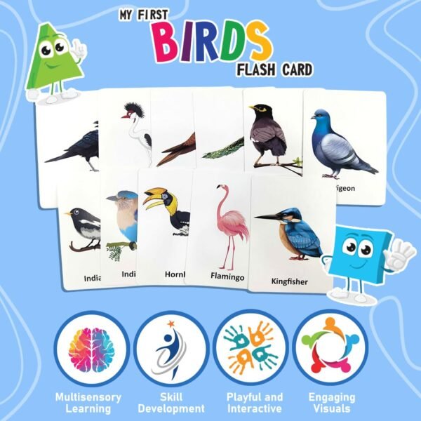 Wembley Flash Cards for Kids Toys 1 2 3 4 5 Years Babies Boys Girls | Educational Preschoolers Montessori Early Learning Flash Cards – Birds, Set of 28 Cards - Image 3