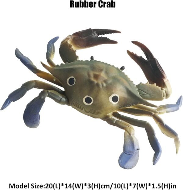 Amitasha Realistic Crab Aquatic Animal Toy for Kids Fish Squishy Figurines Rubber Sea Animal Soft Squeeze Toy for Boys Girls Lookalike Ocean Creatures Educational Gift - Image 3