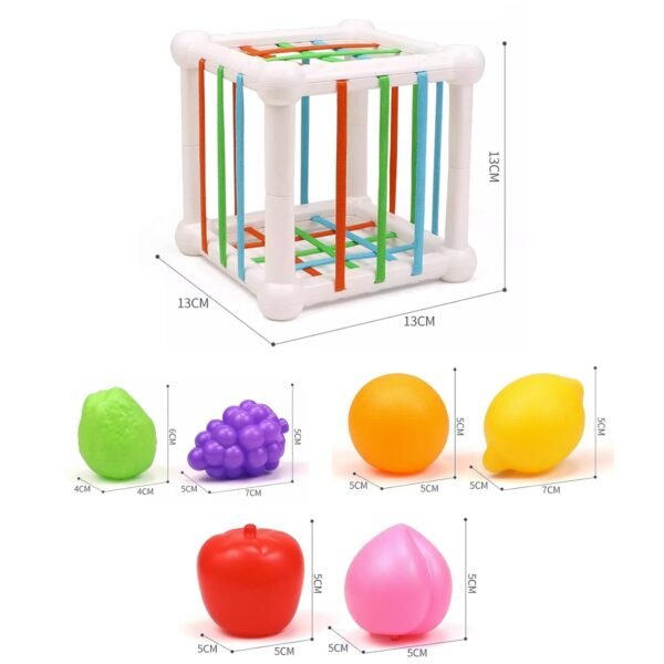 Toy Shape Sorter Baby Toys Sensory Sorting Toys for Kids Children Birthday Gifts - Image 3