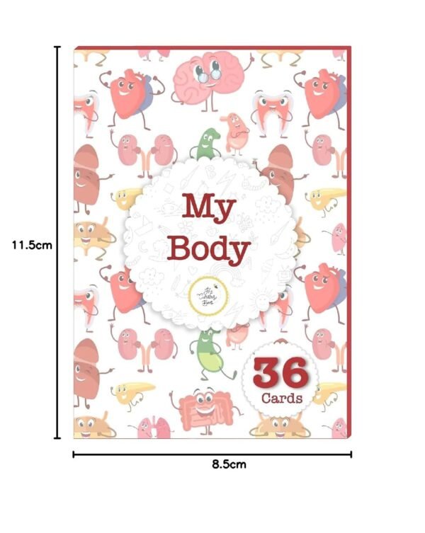 My Body Flash Cards | 36 Laminated Cards for Kids | Age Group: 2-4 Years | Science Education Fun Activity for Kids - Image 2