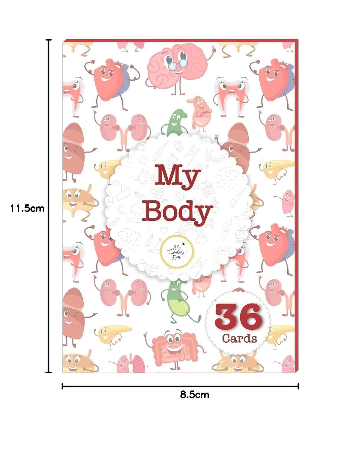My Body Flash Cards | 36 Laminated Cards for Kids | Age Group: 2-4 Years | Science Education Fun Activity for Kids - Image 2