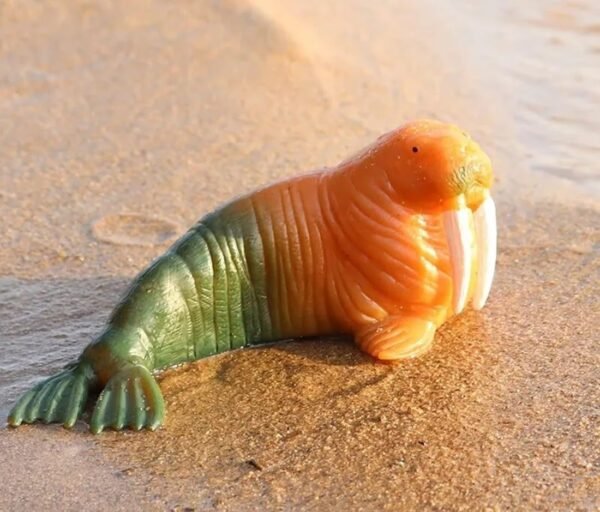 Amitasha Aquatic Animal Toy for Kids Realistic Walrus Fish Squishy Figurines Rubber Sea Animal Soft Squeeze Toy for Boys Girls Lookalike Ocean Creatures Educational Gift - Image 2