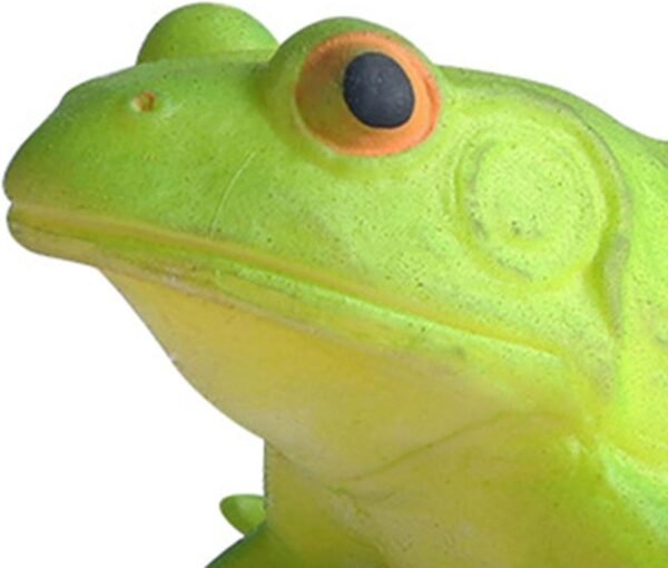 Amitasha Squishy Aquatic Frog Animal Realistic Sea Animal Soft Action Figures Stress Relief Rubber Squeeze Cute Decompression Toy for Boys Girls - Prank Gift - Image 3