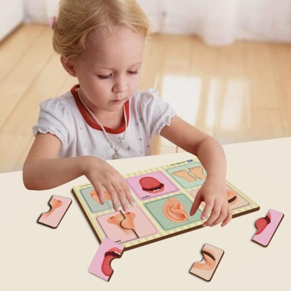 Body Parts Wooden 2 Piece Puzzle for 2 Year Old Educational Jigsaw for Kids Toys for 2-5 Years Boy, Toys for 2+ Year Old Boy and Girl, Child Safe, Durable, Zero Plastic - Image 2