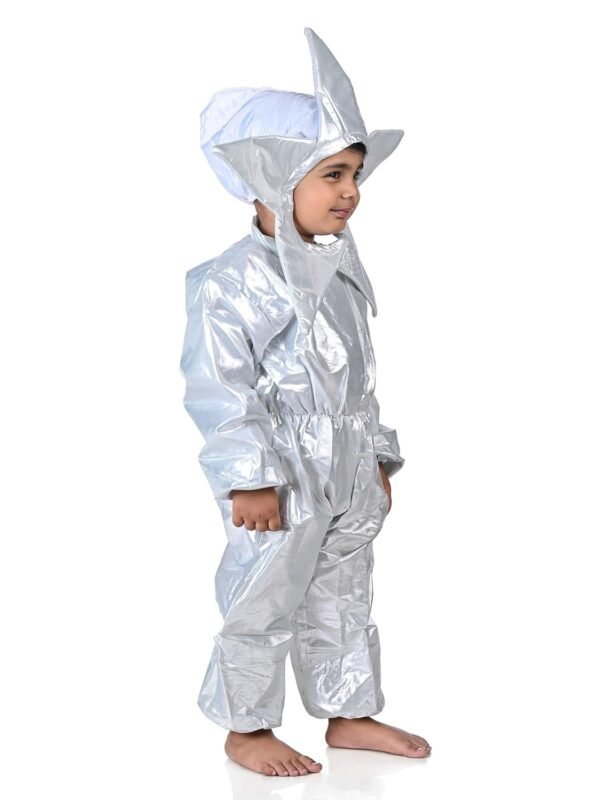 BookMyCostume Star Nature Kids Fancy Dress Costume - Image 2