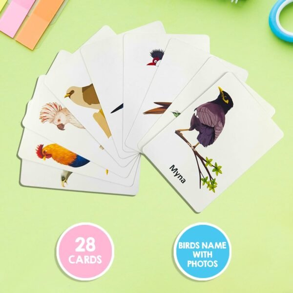 Wembley Flash Cards for Kids Toys 1 2 3 4 5 Years Babies Boys Girls | Educational Preschoolers Montessori Early Learning Flash Cards – Birds, Set of 28 Cards - Image 4
