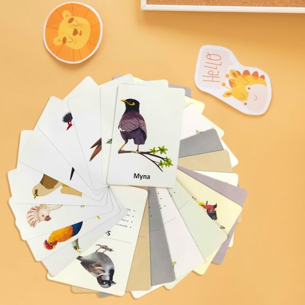 Wembley Flash Cards for Kids Toys 1 2 3 4 5 Years Babies Boys Girls | Educational Preschoolers Montessori Early Learning Flash Cards – Birds, Set of 28 Cards - Image 5