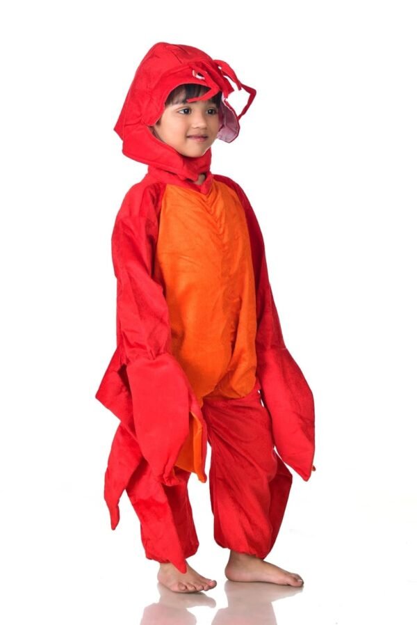 BookMyCostume Crab Water Animal Aquatic Kids Fancy Dress Costume 6-7 years - Image 2