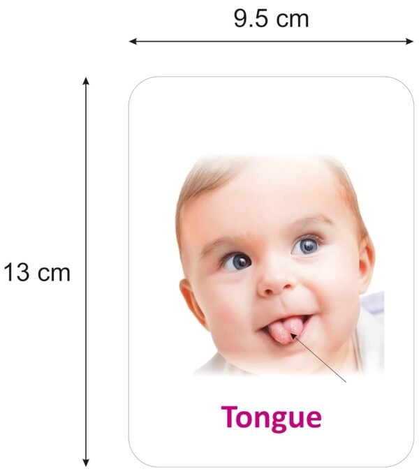 Premium Parts of The Body Flash Cards for Kids Early Learning | Easy & Fun Way of Learning 1 Year to 6 Years Babies Smart Toys - Image 5