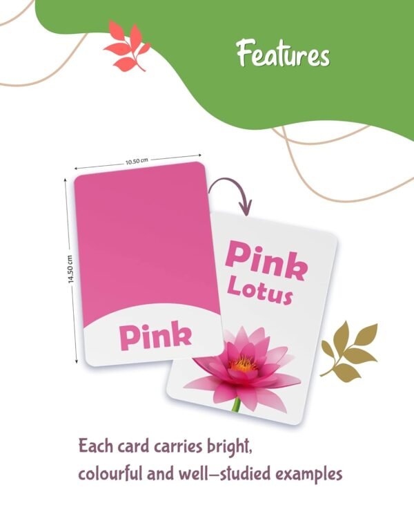 Flash Cards for Kids Learning Toys | Alphabet, Numbers, Colours and Shapes Flashcards | Activity Cards for 1-6 Years Old Kids | 64 Non Tearable Cards - Image 3