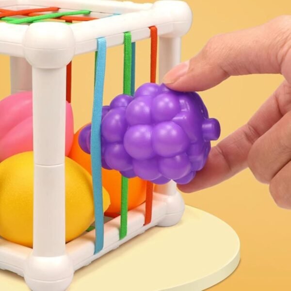Toy Shape Sorter Baby Toys Sensory Sorting Toys for Kids Children Birthday Gifts - Image 5