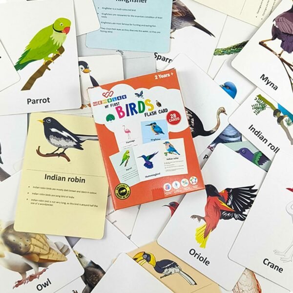 Wembley Flash Cards for Kids Toys 1 2 3 4 5 Years Babies Boys Girls | Educational Preschoolers Montessori Early Learning Flash Cards – Birds, Set of 28 Cards - Image 2
