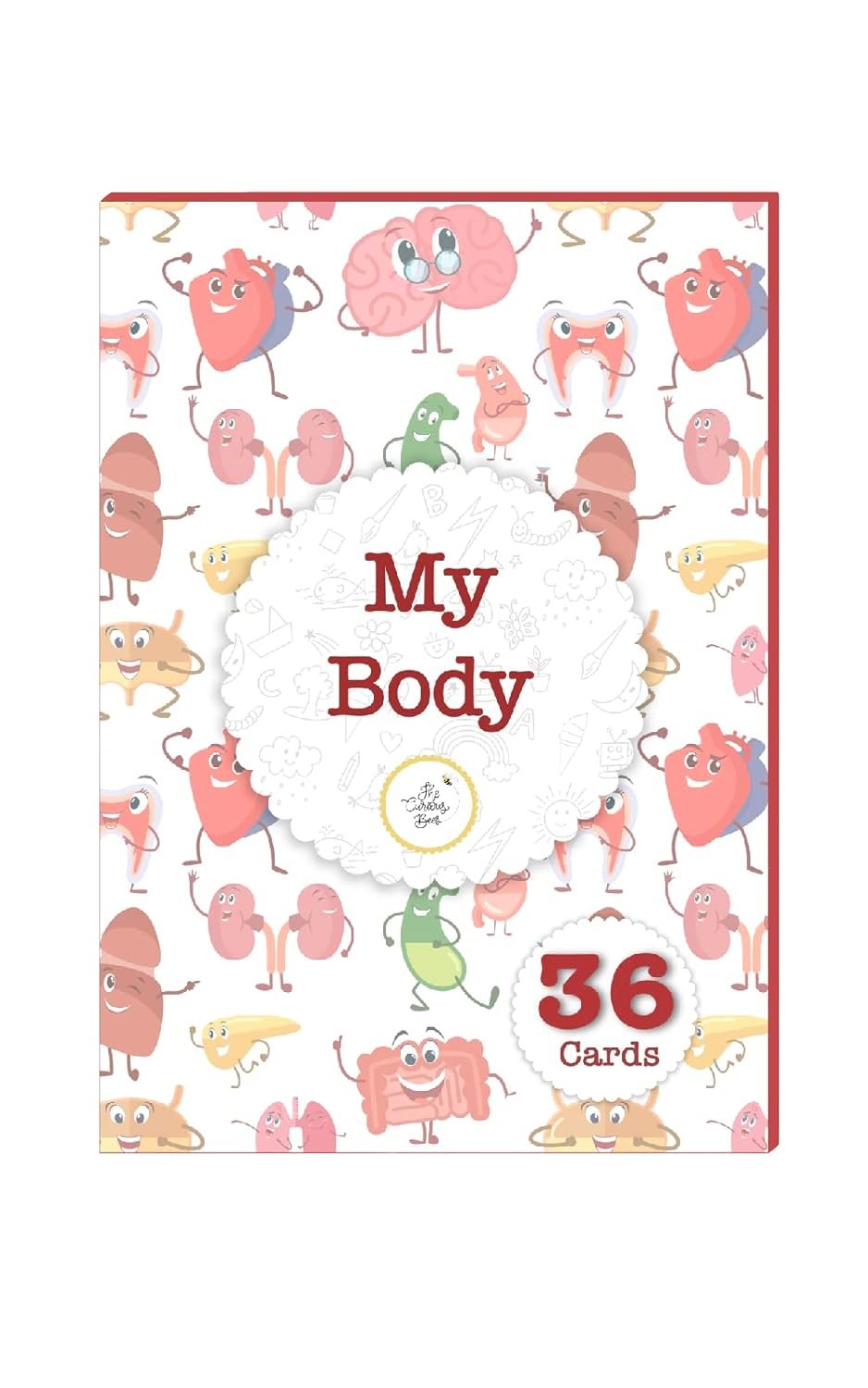 My Body Flash Cards | 36 Laminated Cards for Kids | Age Group: 2-4 Years | Science Education Fun Activity for Kids