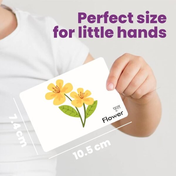 Everyday Objects Flash Cards | 36 Laminated Cards for Kids | Learn Objects in English & Hindi | Age Group: 1-4 Years | Ideal for Early Learning at Home & Pre School - Image 2
