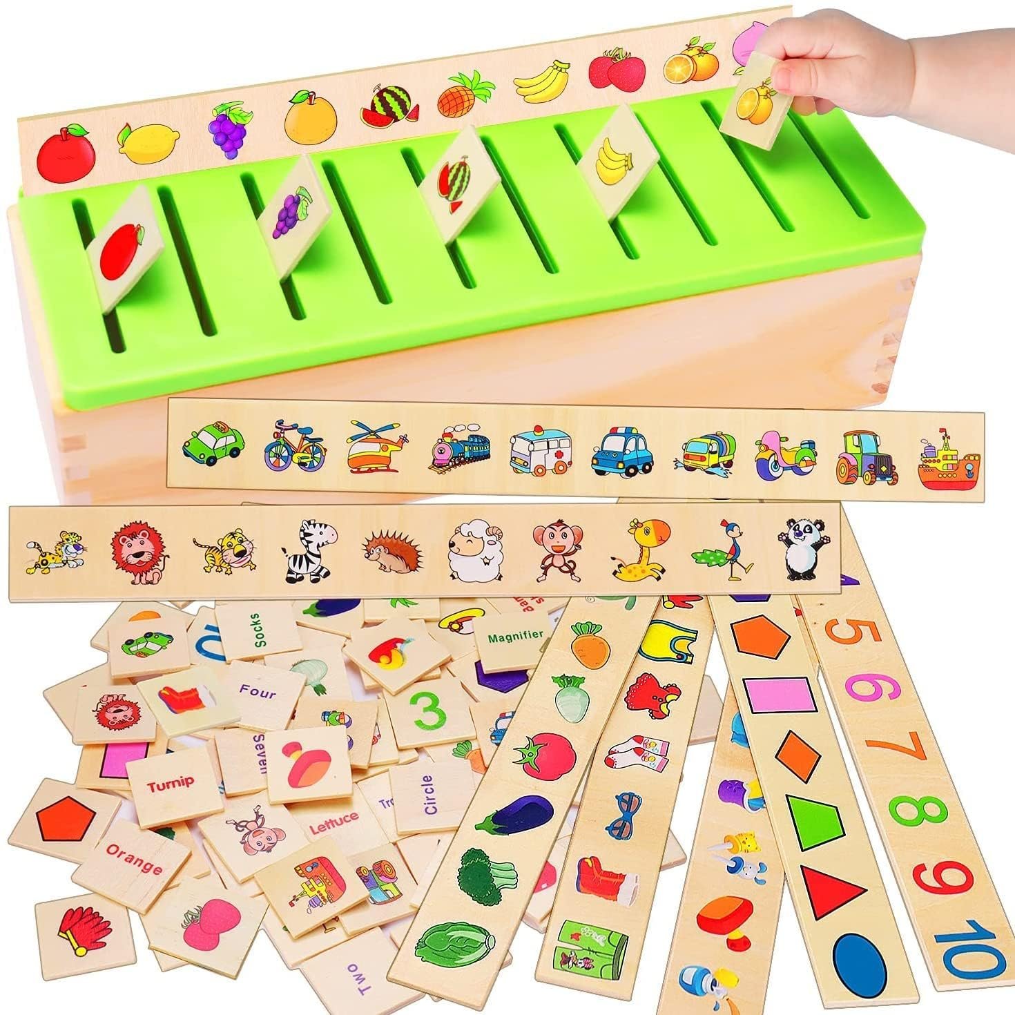 Little Mind Learning Toys Knowledge Classification Wooden Blocks for Children Preschool Preschool Kindergarten Games Autism Toys Motor Skills STEM for Girls Boys 2-4 Year Old, 80 Pcs