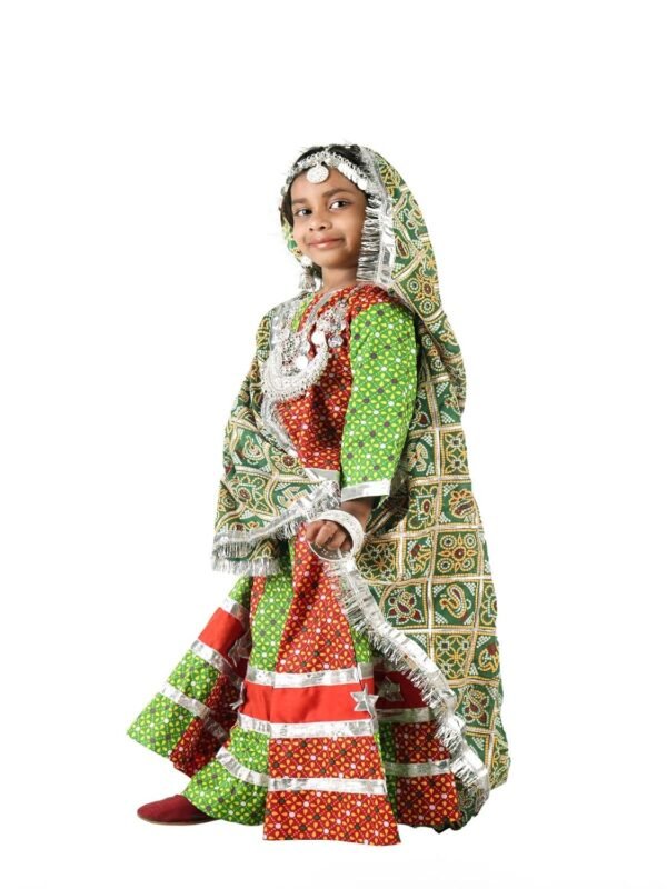 BookMyCostume Rajasthani Girl with Jewellery Indian State Kids & Adults Fancy Dress Costume for Girls - Image 3