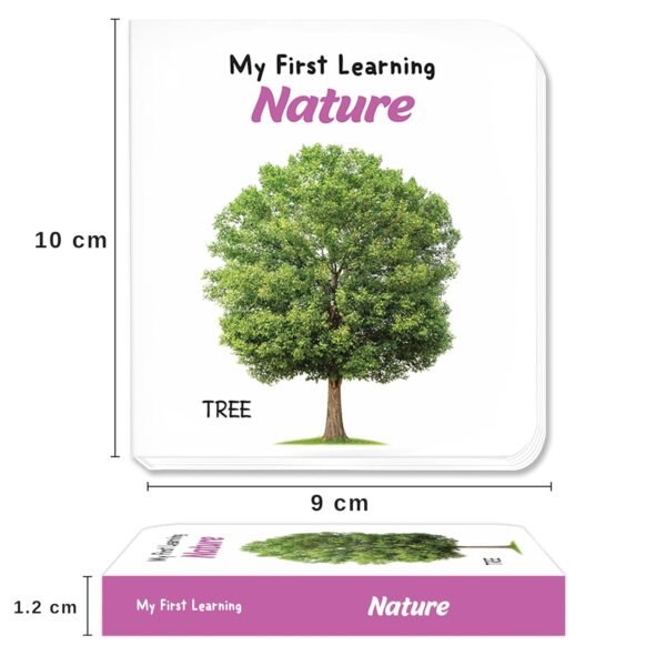 My First Little Librarian: Boxset of 12 Best Board Books for Kids Age 0-3 Years | 24 Pages Board Book | The Book Tree Books - Image 3