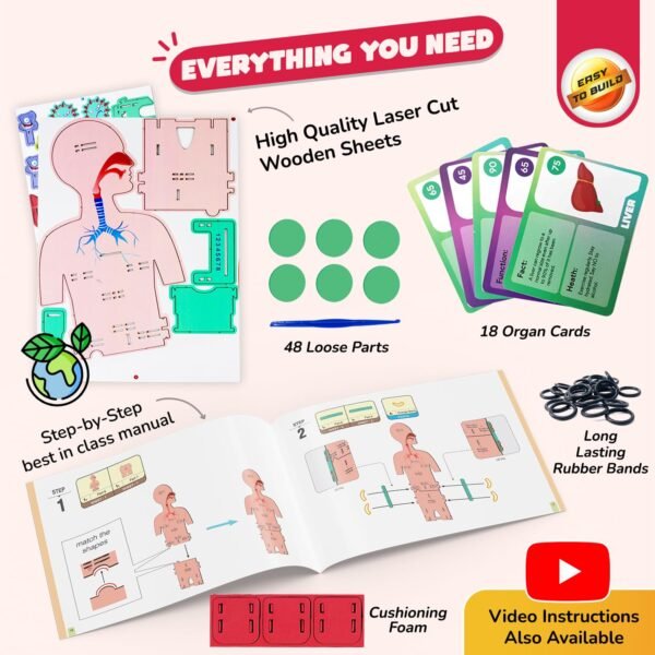 Smartivity Human Body Toy for Kids 6-12 Years|Body Organs & Functions|Birthday Gifts for Unisex|DIY Science Toys 6,7,8,9,10,11,12,13,14 Years Old I STEM Building Set Wooden Construction Game,79 Pcs - Image 4